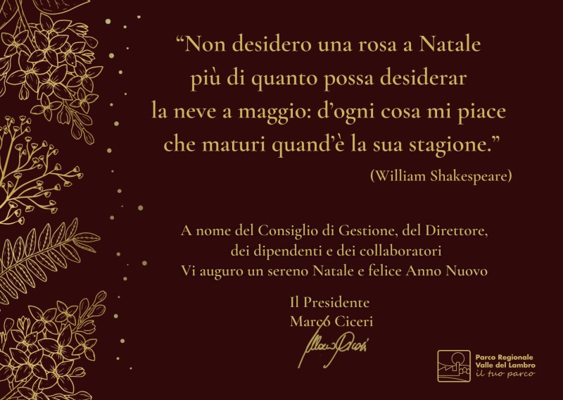 Auguri_di_Natale_2025.jpg (85 KB)