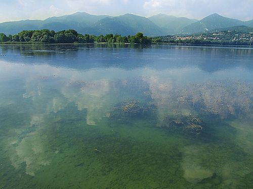 LagoPusiano_wikipedia1.jpg (30 KB)