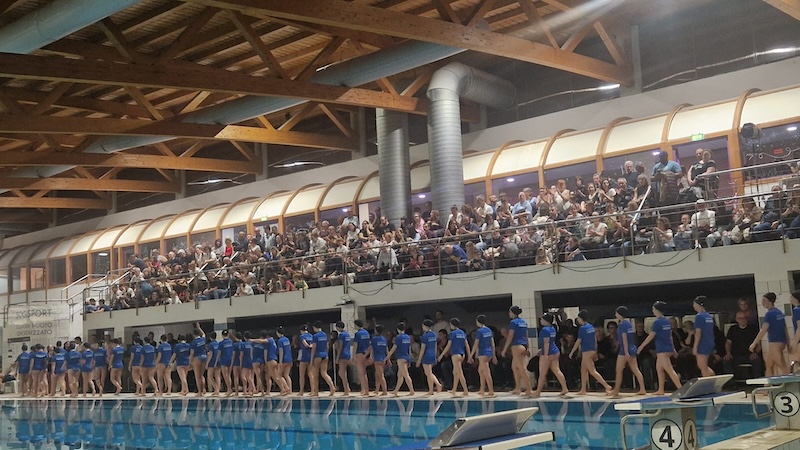 Nibionno_wetlife3.jpg (184 KB)