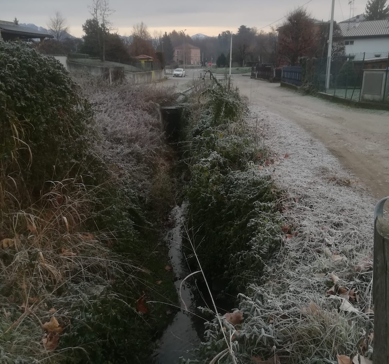 Rogeno_pulizia00002.jpg (279 KB)