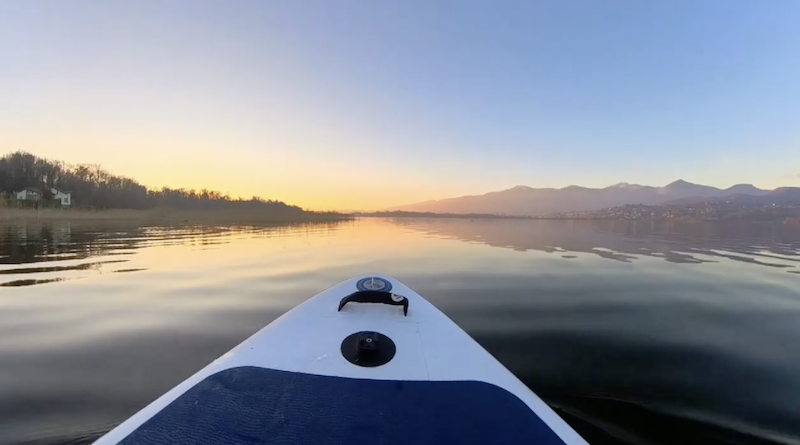 Rogeno_video_calvino2.png (366 KB)