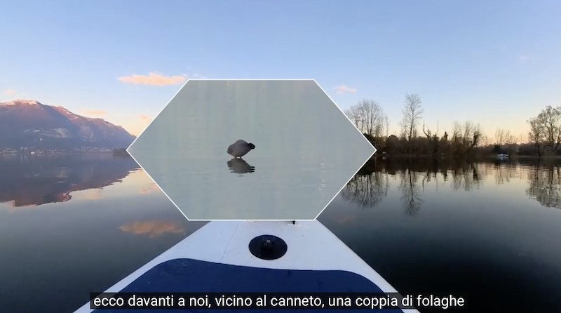 Rogeno_video_calvino3.png (365 KB)