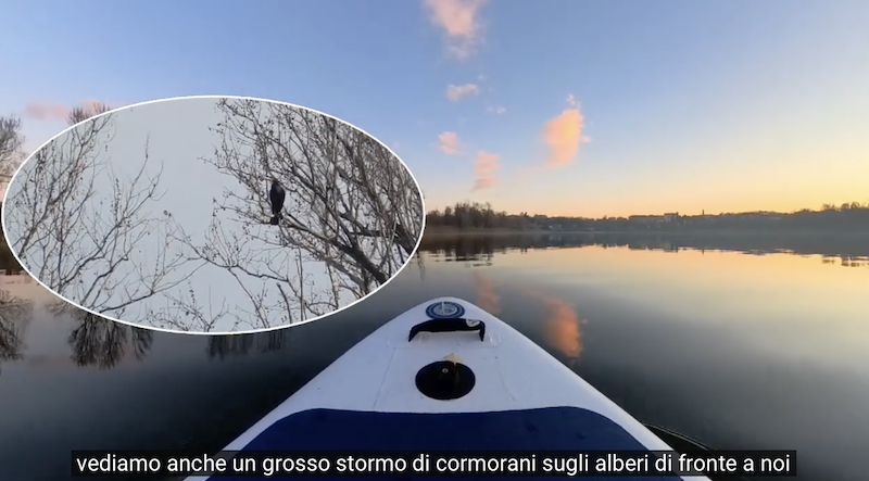 Rogeno_video_calvino5.png (465 KB)