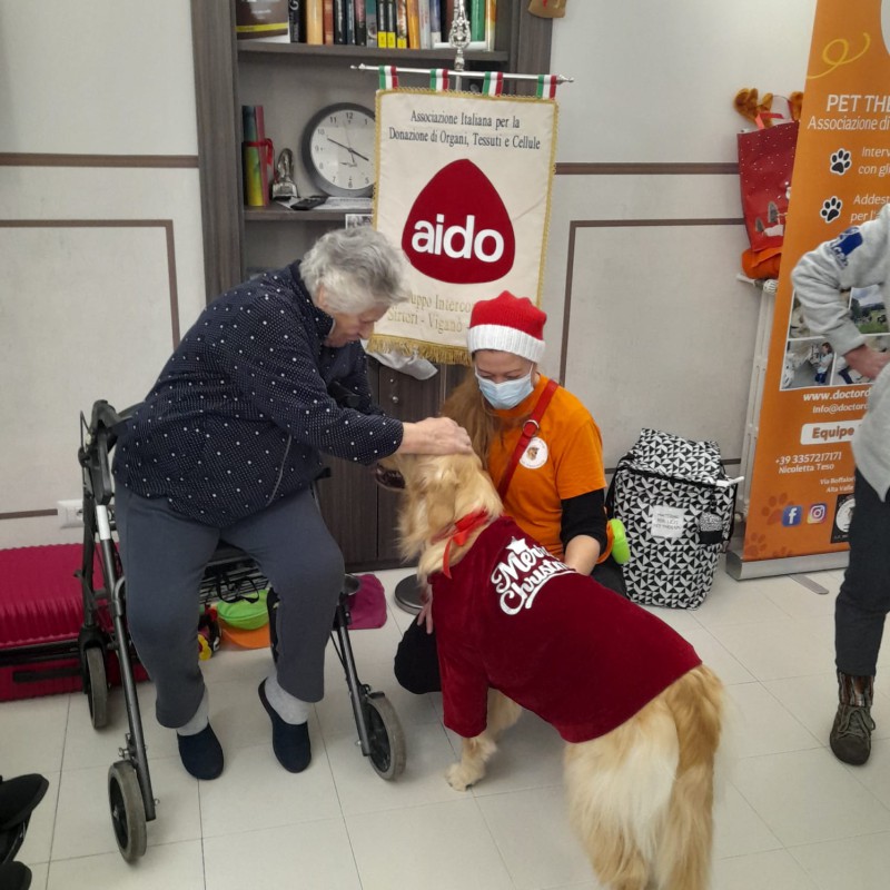 Vigan__pet_therapy__11_.jpg (131 KB)