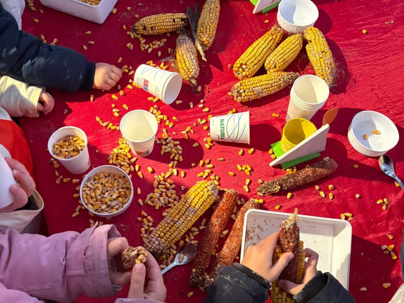 Vigan__presepe_vivente__4_.jpeg (157 KB)