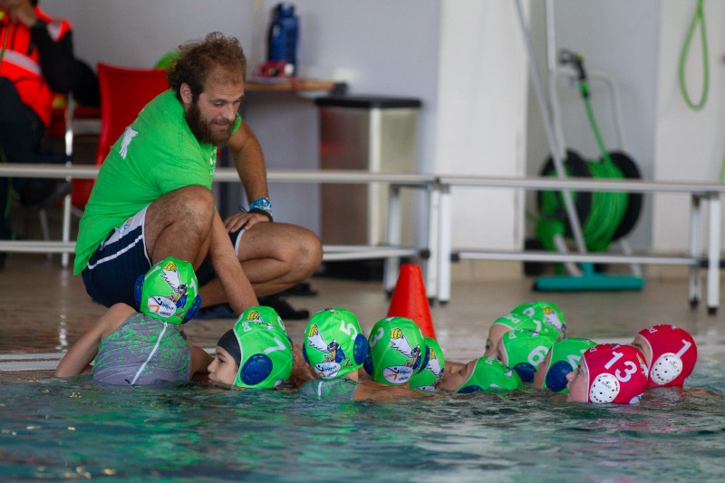 bosisioviribus__4_.jpeg (95 KB)