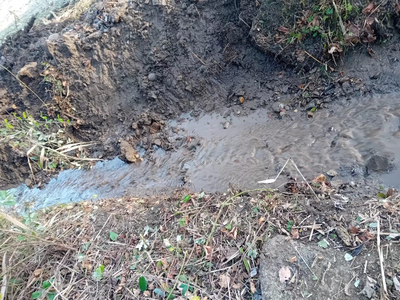 cassagofs__1_.jpeg (231 KB)