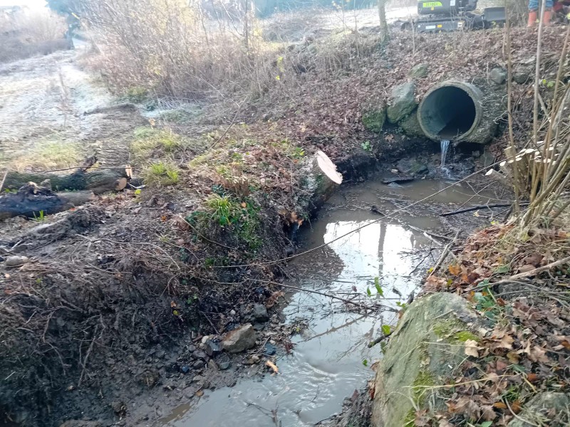 cassagofs__5_.jpeg (196 KB)