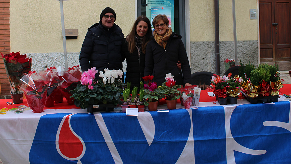 cassagomercatini9.jpg (300 KB)