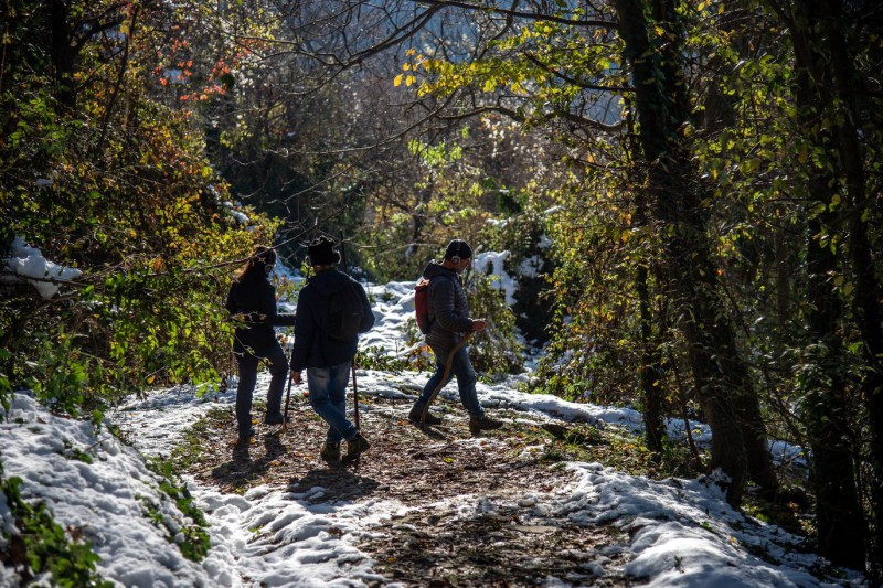 cortinamilano__1_.jpg (191 KB)