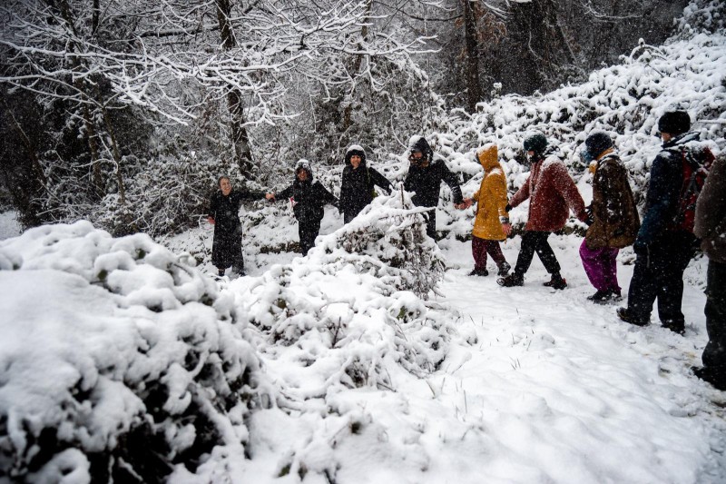 cortinamilano__2_.jpeg (161 KB)