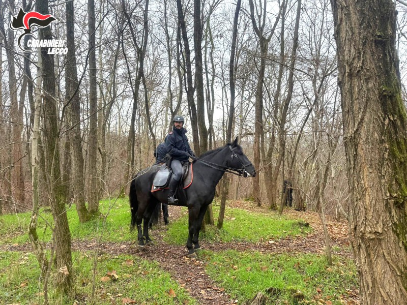 foto_1_3_.jpg (232 KB)