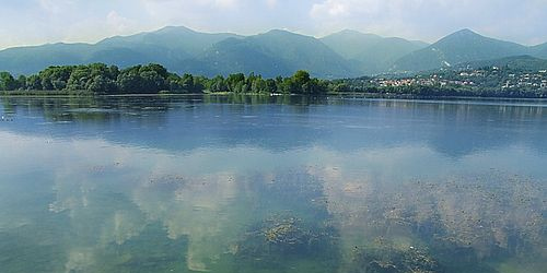 lagopusianohp.jpg (49 KB)