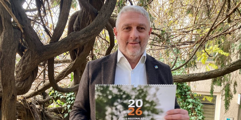 marcociceriprima.jpg (245 KB)