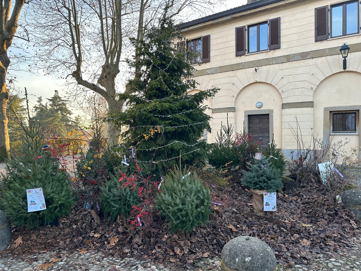 monticellowelocal0004.jpg (536 KB)