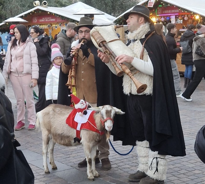 nibionnogita1.jpeg (153 KB)