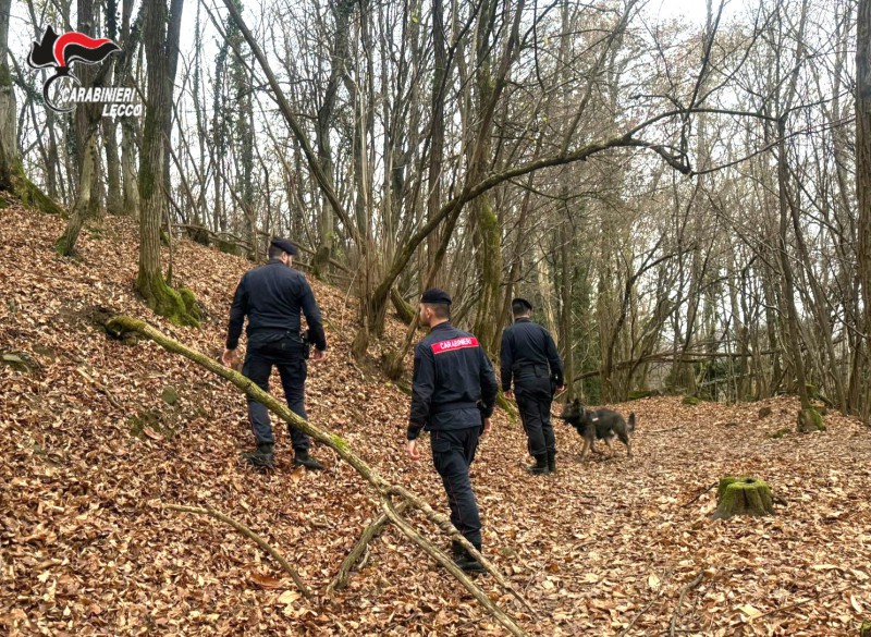 nibionnospaccio__1_.jpg (241 KB)