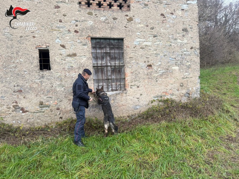 nibionnospaccio__2_.jpg (218 KB)