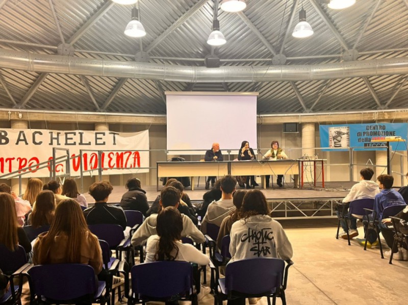 oggionocaritas__1_.jpeg (134 KB)