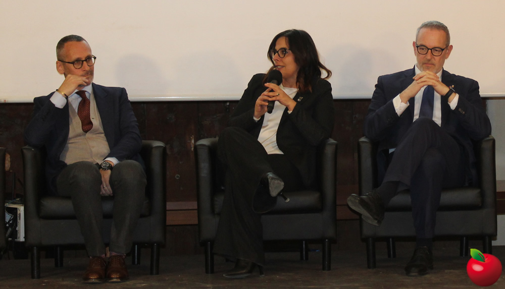 provinciavg11.jpg (128 KB)