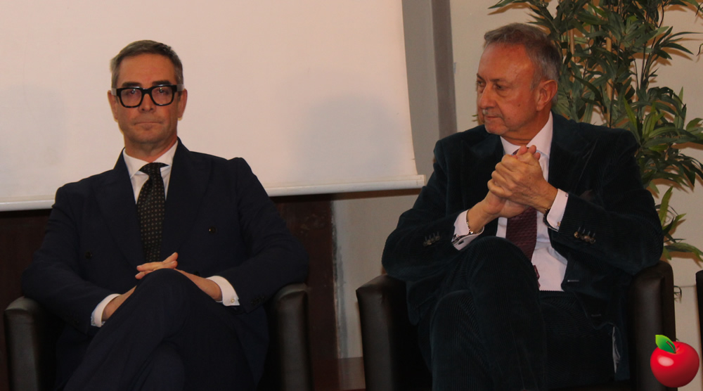 provinciavg13.jpg (136 KB)