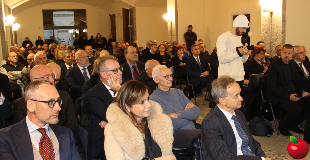 provinciavg14.jpg (232 KB)