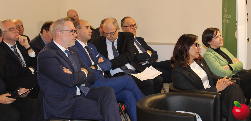 provinciavg2.jpg (158 KB)