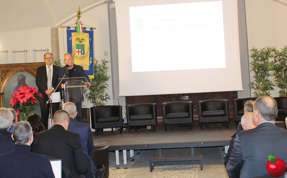 provinciavg6.jpg (209 KB)