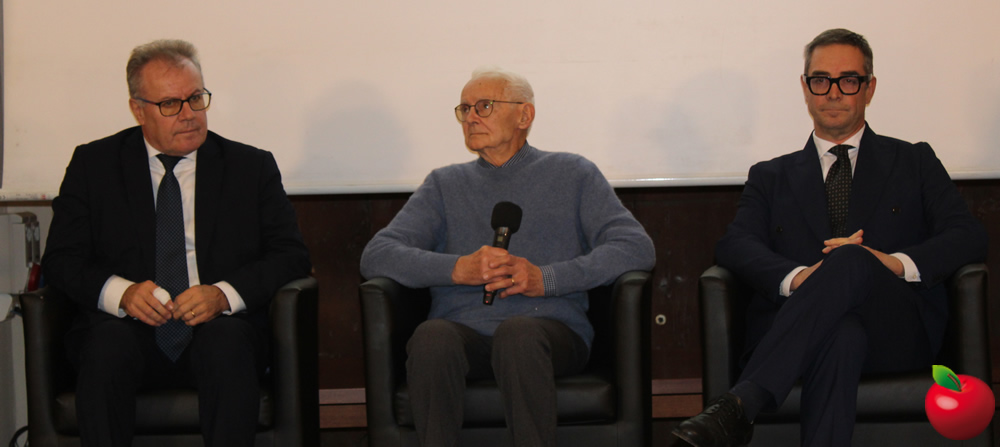 provinciavg8.jpg (92 KB)