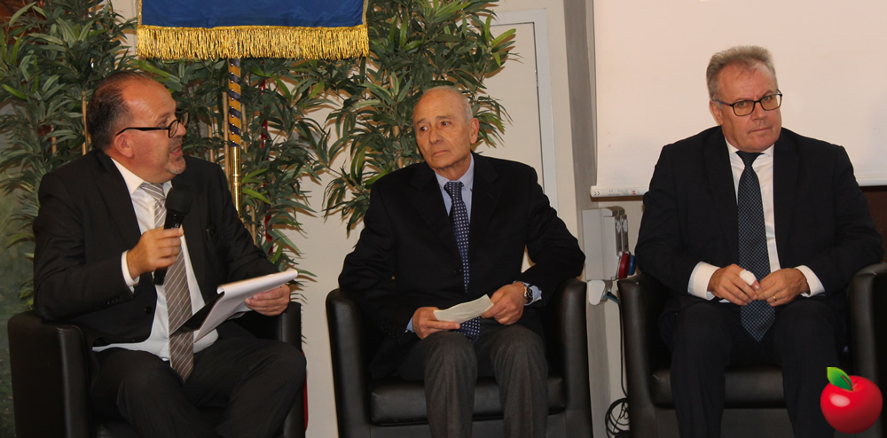 provinciavg9.jpg (185 KB)