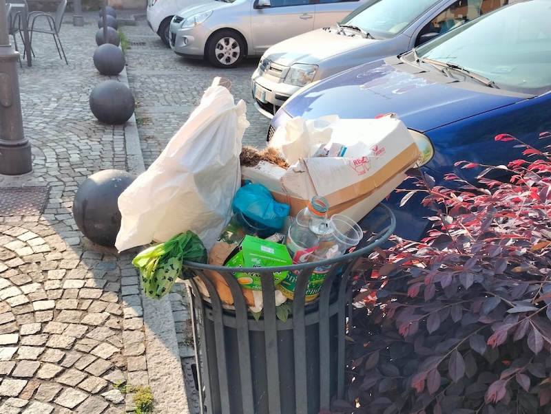 Bosisio_cestini00003.jpeg (233 KB)