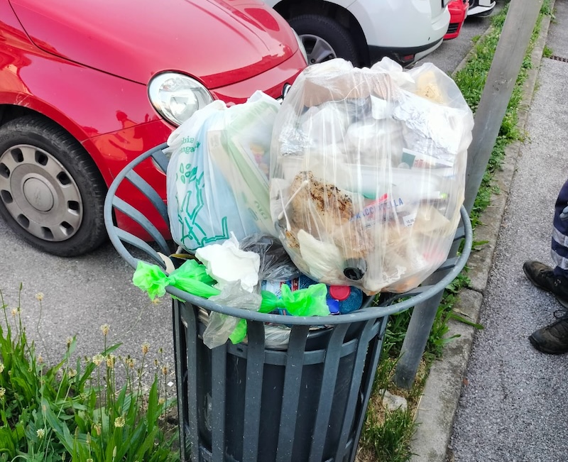 Bosisio_cestini00004.jpeg (249 KB)