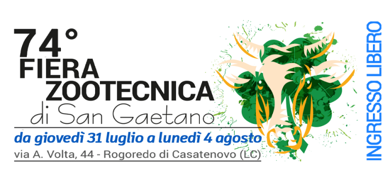 fiera1.png (162 KB)