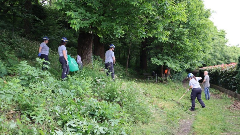 Bulciago__verde_pulito_25_3.JPG (133 KB)