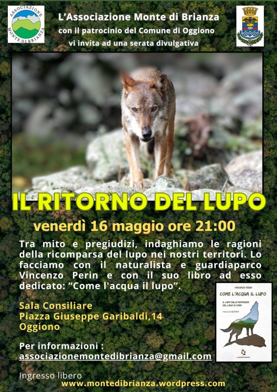Locandina_Lupo.jpg (160 KB)