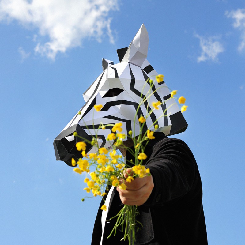 Zebre_-_Luca_Close.jpg (100 KB)