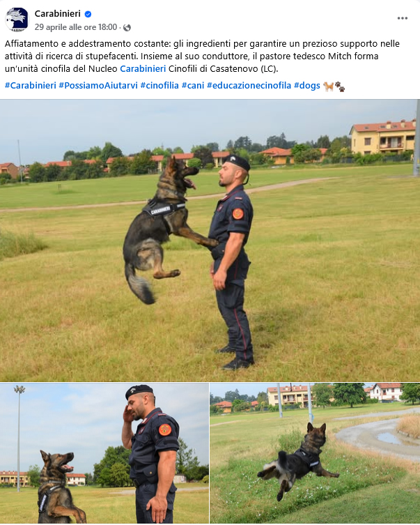 carabinieri_fb.jpg (300 KB)