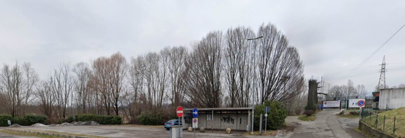 cremellabess_8.jpg (57 KB)