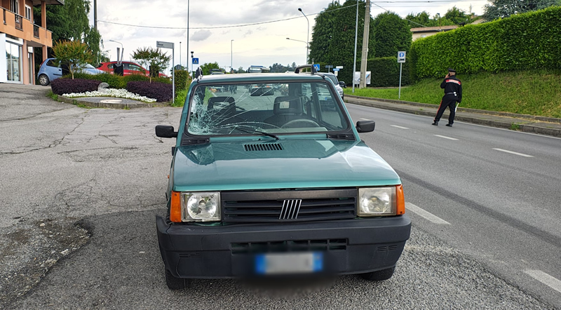 monticelloinvestimento5.jpg (301 KB)