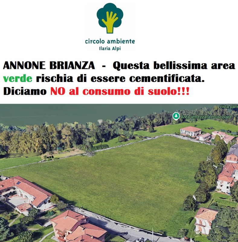 Annone_suolo_1.jpg (166 KB)