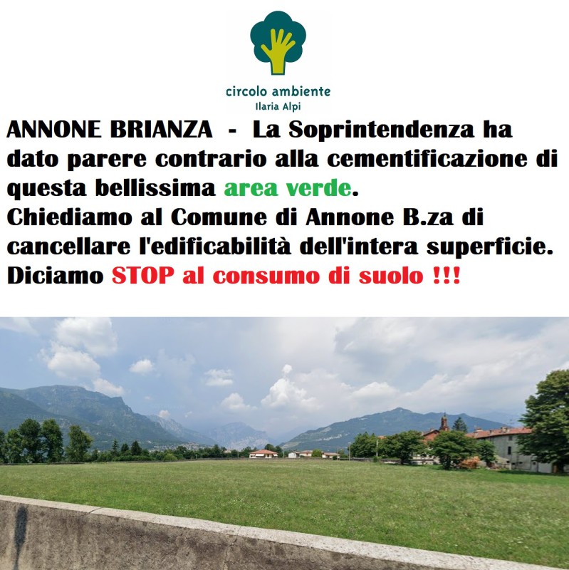 Annone_suolo_2.jpg (140 KB)