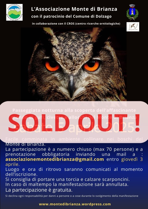 SOLD_OUT_GUFI.jpg (127 KB)