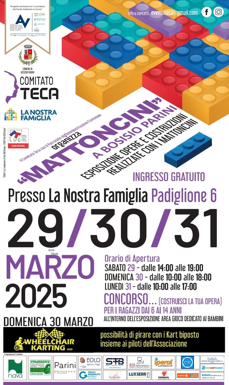 Teca_lego1.JPG (377 KB)