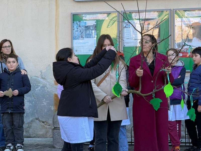 Barzan__4_novembre_12.JPG (130 KB)