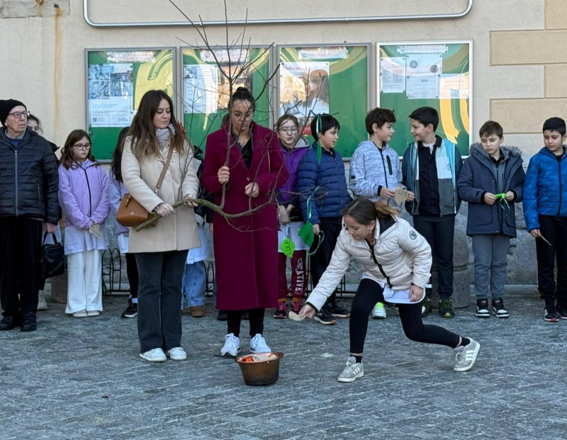 Barzan__4_novembre_3.JPG (151 KB)