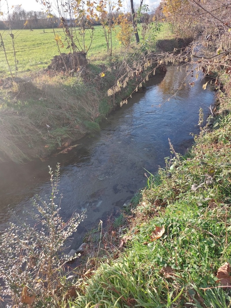 Gandaloglio_Oggiono1.jpg (552 KB)