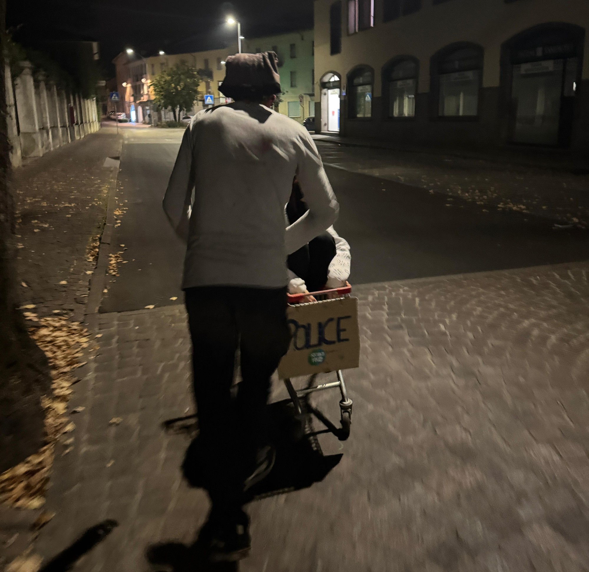 Oggiono_social_flow2.jpg (599 KB)