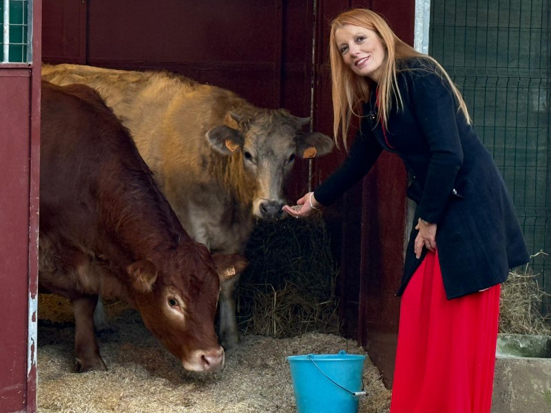 On.Brambilla-Minerva_e_Miranda.jpg (111 KB)