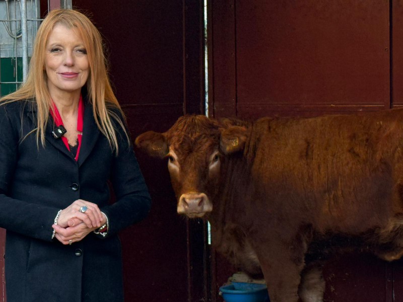 On._Brambilla-Minerva-2.jpg (85 KB)