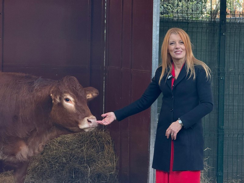 On._Brambilla-Minerva.jpg (106 KB)